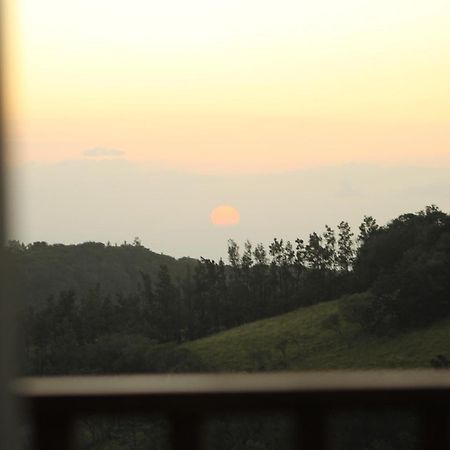 Hotel Bosque Verde Lodge Monteverde Oda fotoğraf