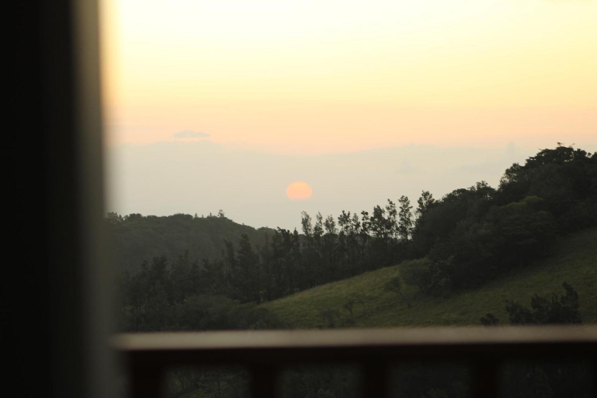 Hotel Bosque Verde Lodge Monteverde Oda fotoğraf