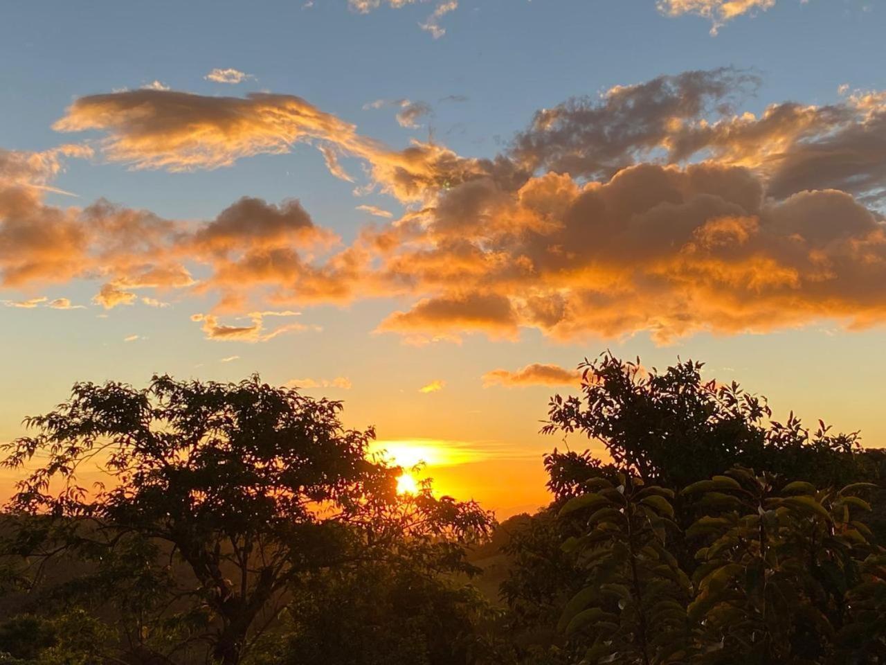 Hotel Bosque Verde Lodge Monteverde Dış mekan fotoğraf