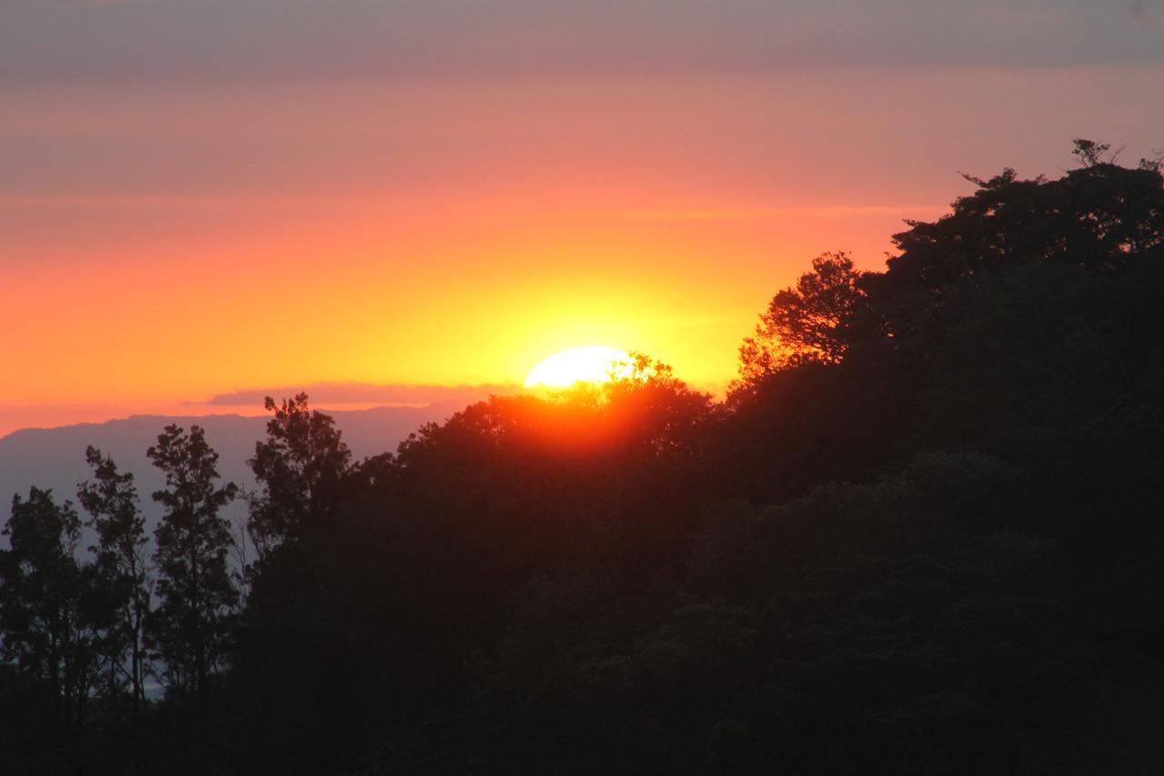 Hotel Bosque Verde Lodge Monteverde Dış mekan fotoğraf