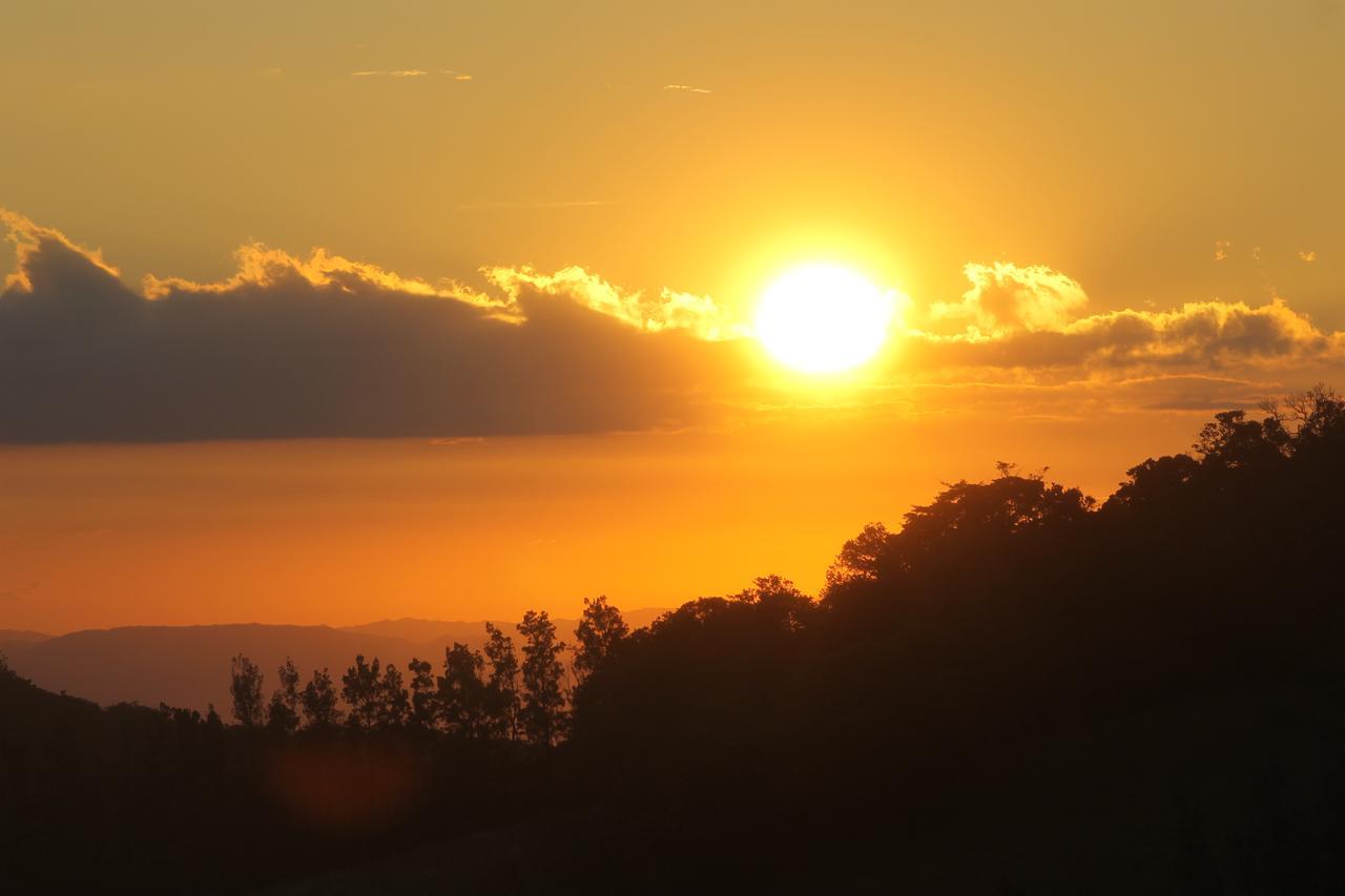 Hotel Bosque Verde Lodge Monteverde Dış mekan fotoğraf