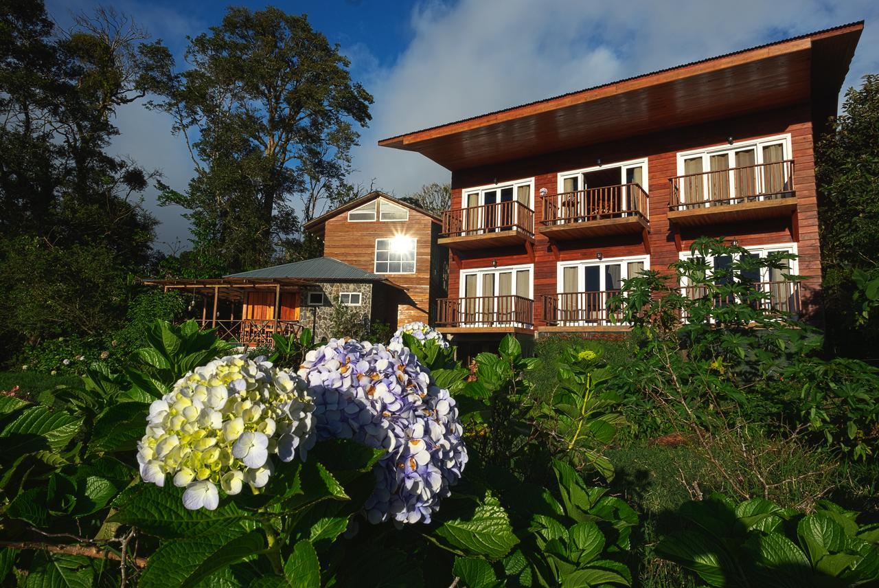 Hotel Bosque Verde Lodge Monteverde Oda fotoğraf