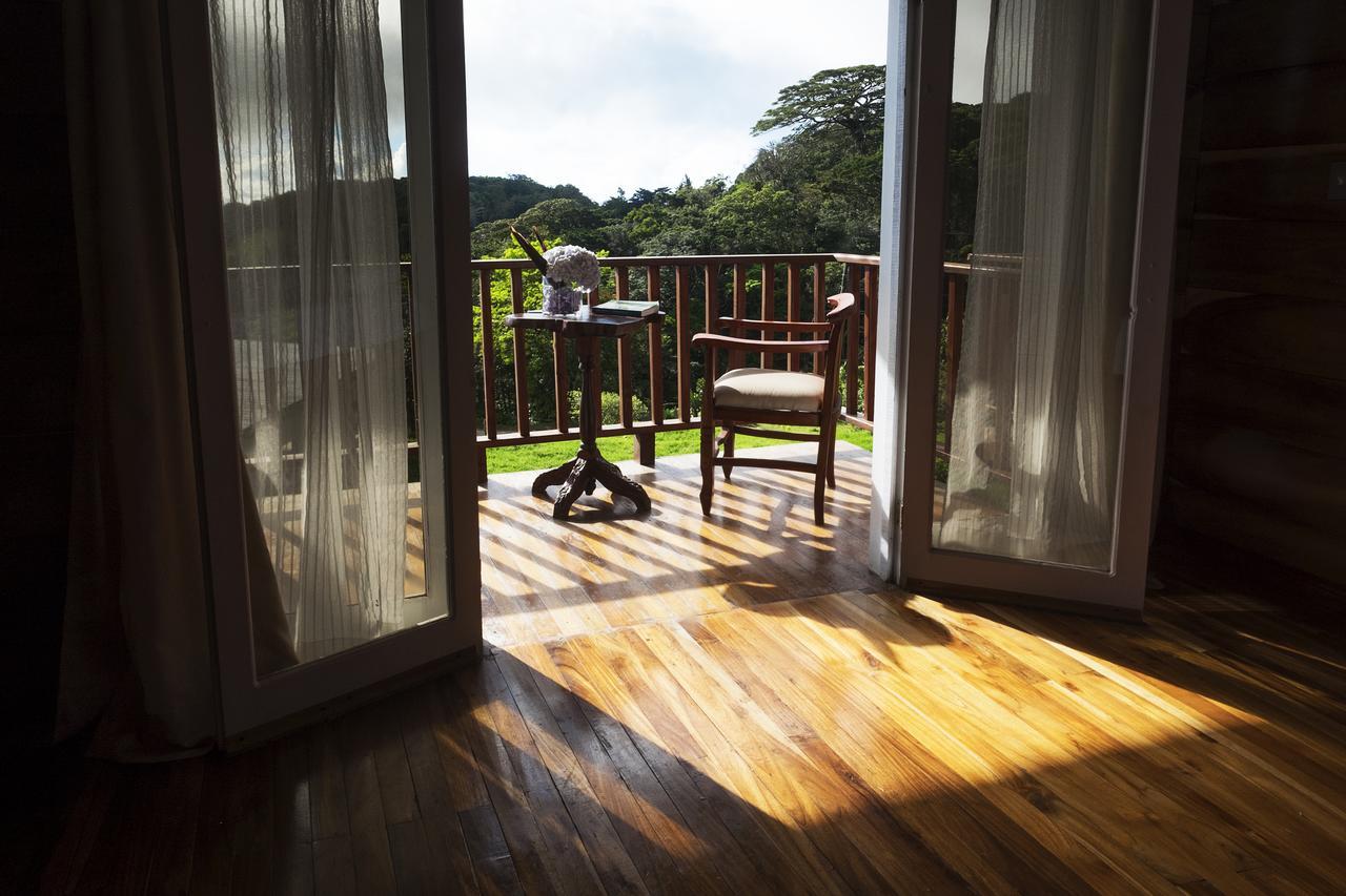 Hotel Bosque Verde Lodge Monteverde Dış mekan fotoğraf