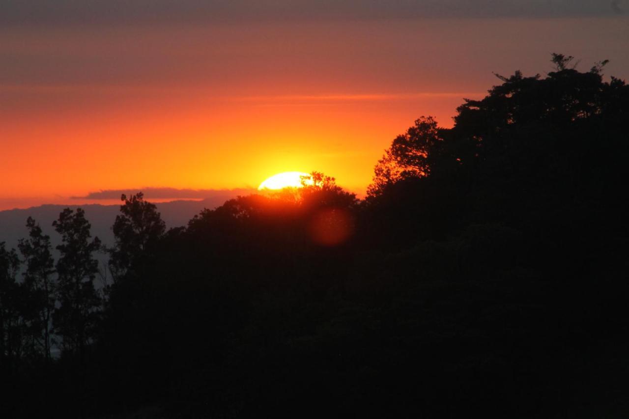 Hotel Bosque Verde Lodge Monteverde Dış mekan fotoğraf