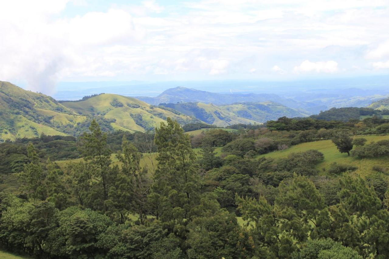 Hotel Bosque Verde Lodge Monteverde Dış mekan fotoğraf