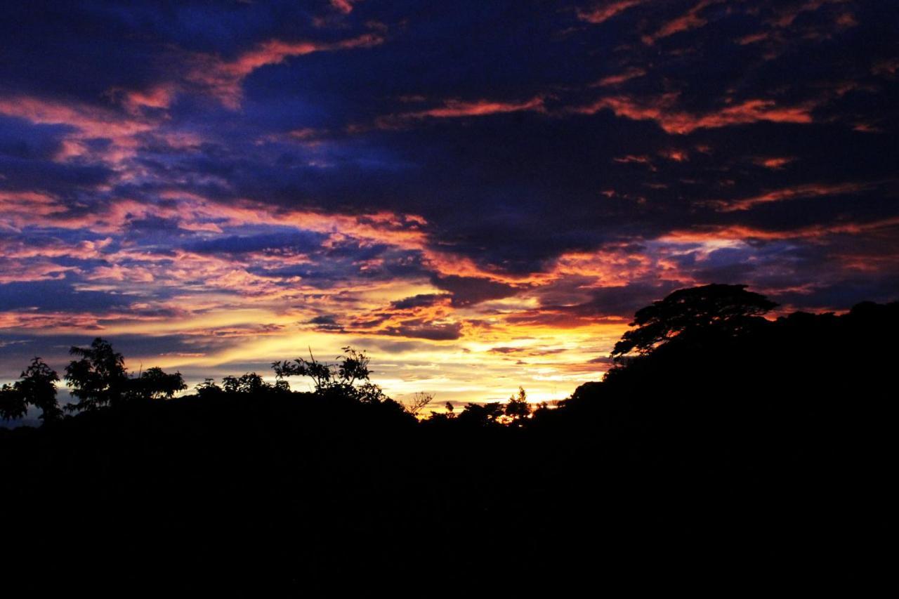 Hotel Bosque Verde Lodge Monteverde Dış mekan fotoğraf