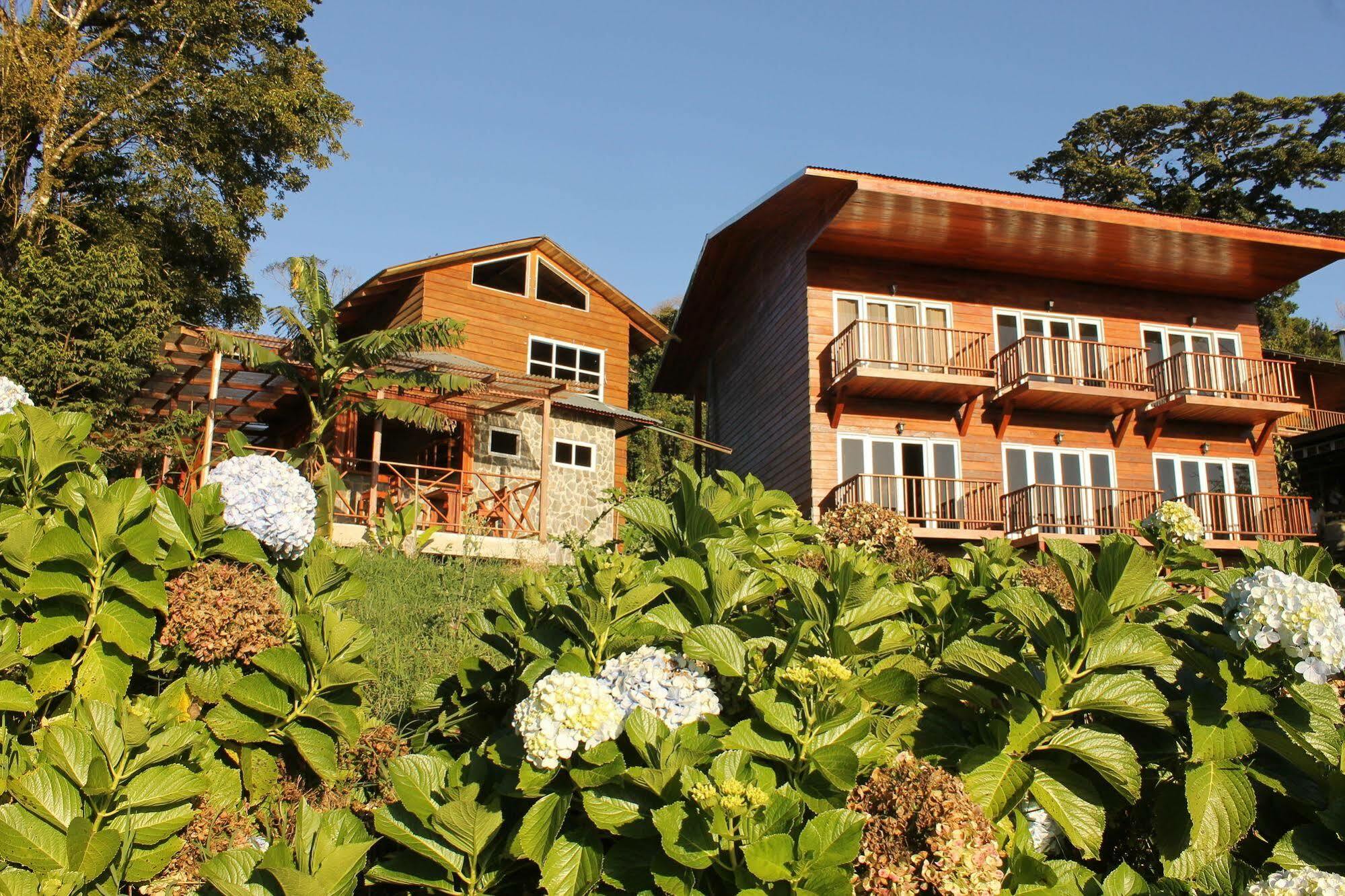 Hotel Bosque Verde Lodge Monteverde Dış mekan fotoğraf