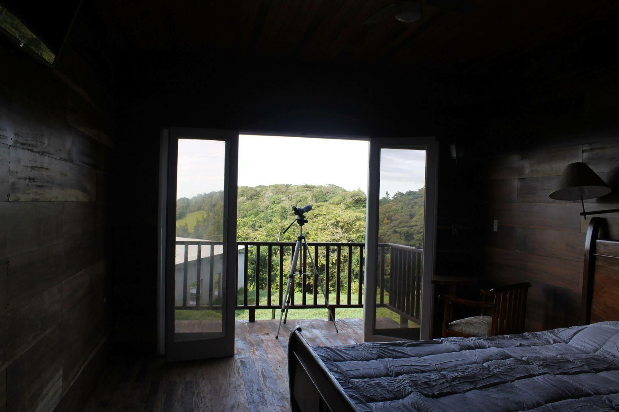 Hotel Bosque Verde Lodge Monteverde Dış mekan fotoğraf