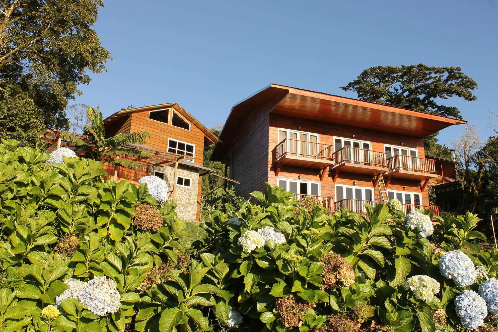 Hotel Bosque Verde Lodge Monteverde Dış mekan fotoğraf