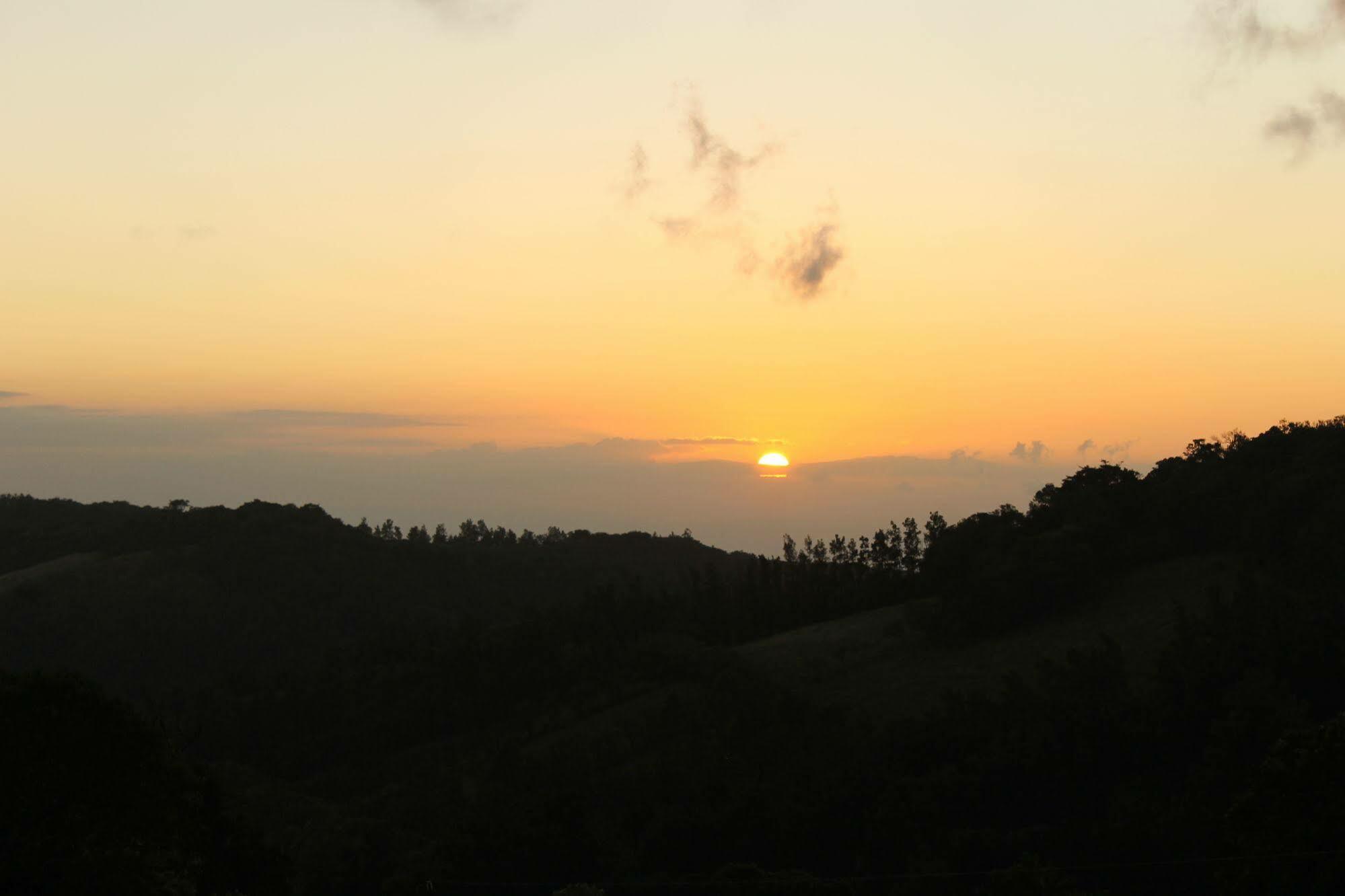 Hotel Bosque Verde Lodge Monteverde Dış mekan fotoğraf